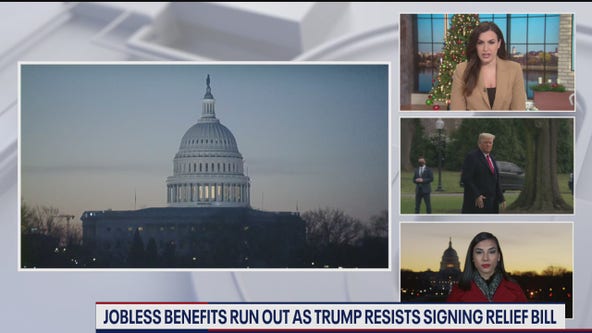 Sierra Fox 7 am Report