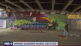 DC police investigating 'Pepe the Frog' graffiti as a possible hate, bias crime