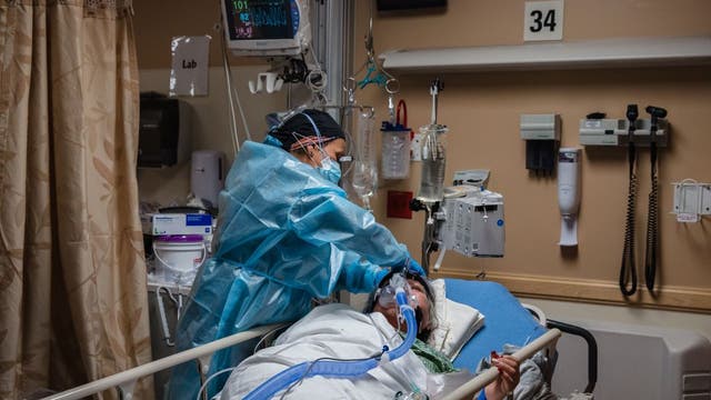 Gut bacteria may influence COVID-19 severity and immune response, study suggests