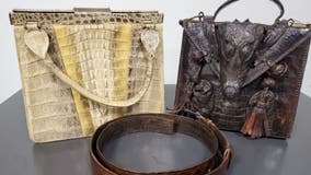 Exotic ‘crocodile head’ bag, leeches among illegal items seized at Dulles this month