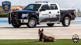 Maricopa police officer suspended after K-9 dies in hot car
