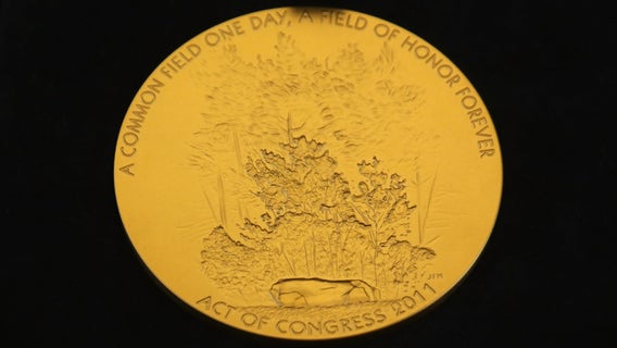 Pelosi announces legislation to award the Congressional Gold Medal to the USCP for actions during Capitol Riot