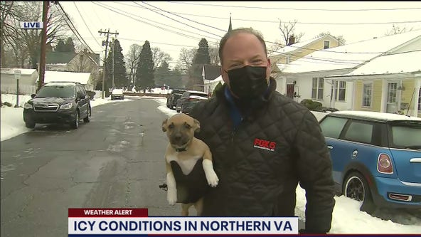 Cleaning icy cars – rescuing puppies – all in a day’s work for FOX 5’s Bob Barnard in Leesburg!
