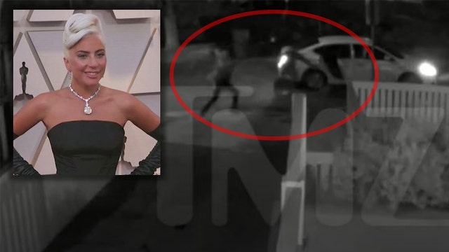 Lady Gaga dognapping: Surveillance video shows violent shooting of dog walker