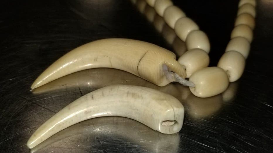 Crocodile Skin Bags, Ivory, Leeches Seized At Dulles Airport