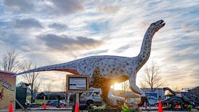 Dino Safari drive-thru experience now open at National Harbor