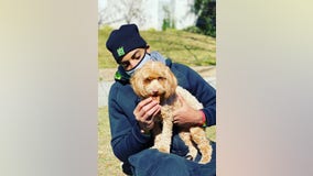 Wizards' Troy Brown Jr. finds missing dog after nearly 2-day search