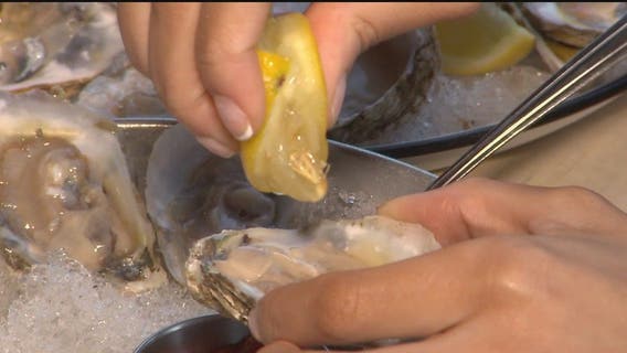 Maryland shuts down shellfish harvesting after sewage overflow that was linked to illnesses