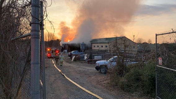 Two giraffes found dead after fire at Roer's Zoofari in Reston