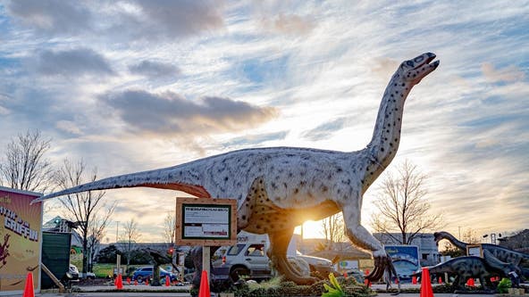 Dino Safari drive-thru experience now open at National Harbor