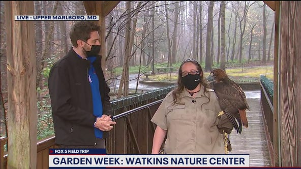 FOX 5 FIELD TRIP: Wildlife galore at the Watkins Nature Center!