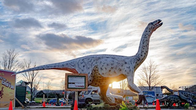 Dino Safari drive-thru experience now open at National Harbor