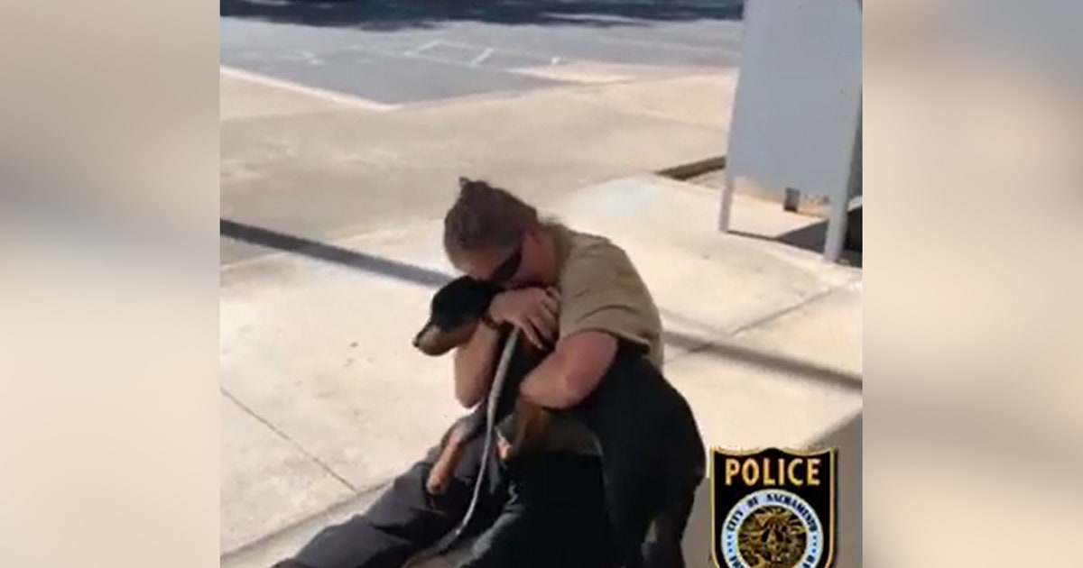 Video: Owner and stolen dog have emotional reunion after being ...