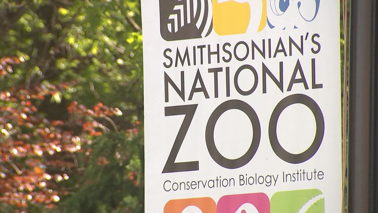 smithsonian national zoo internal phone numbers smithsonian national zoo internal phone numbers