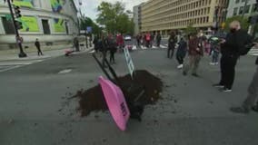 Left-wing group dumps cow manure at White House entrance, demands Biden take climate action