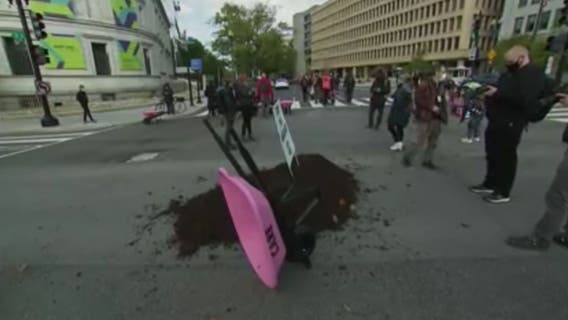 Left-wing group dumps cow manure at White House entrance, demands Biden take climate action