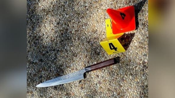 DC police release image of knife allegedly brandished during Capitol car attack