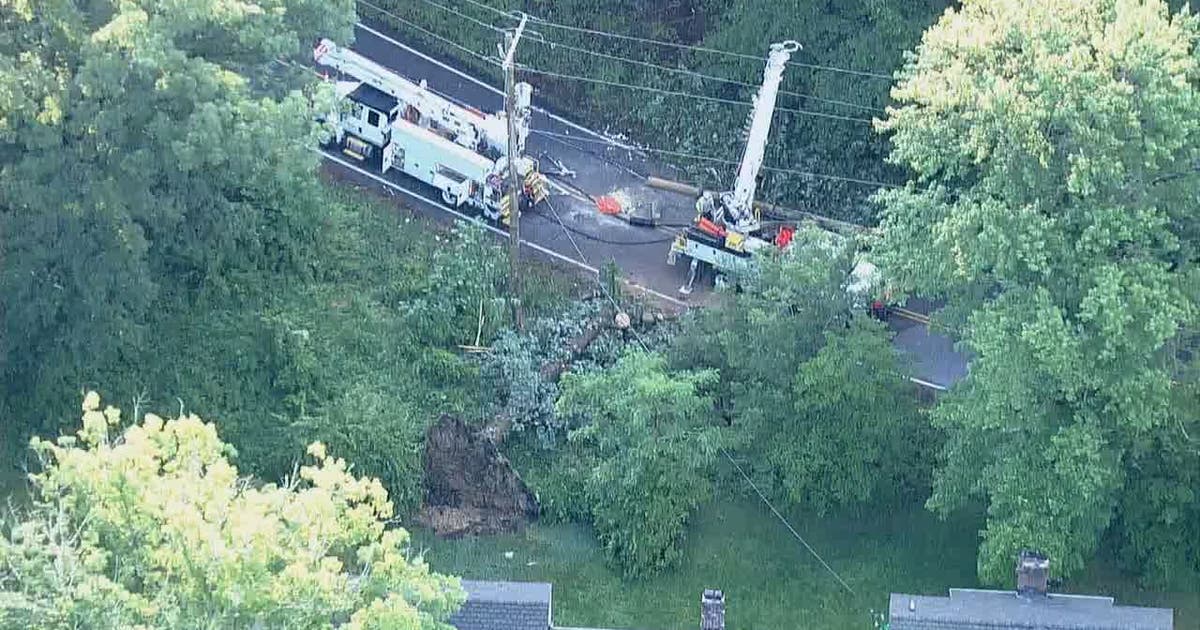Power outages, downed trees as DC region cleans up after severe storms ...