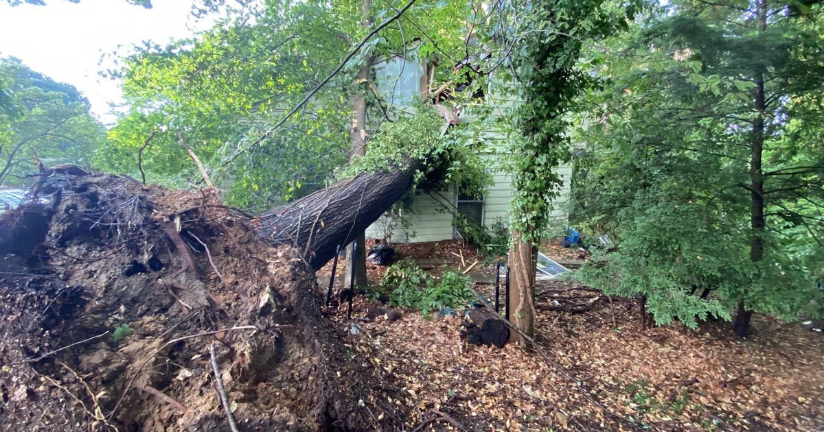 Severe storms sweep through DC region | FOX 5 DC