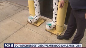 DC firefighters find unique solution for stolen doggie water bowls