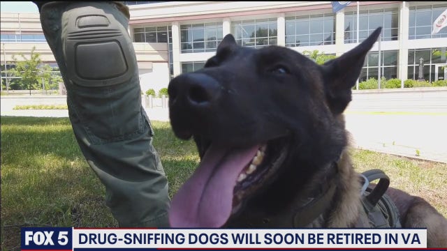 Legalization of marijuana forcing some police K9s in Virginia to retire