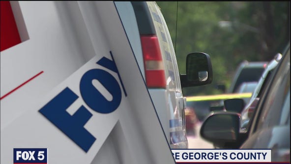 Gun Violence Memorial