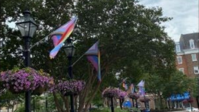Alexandria police ask for help finding suspect who vandalized Market Square pride flags