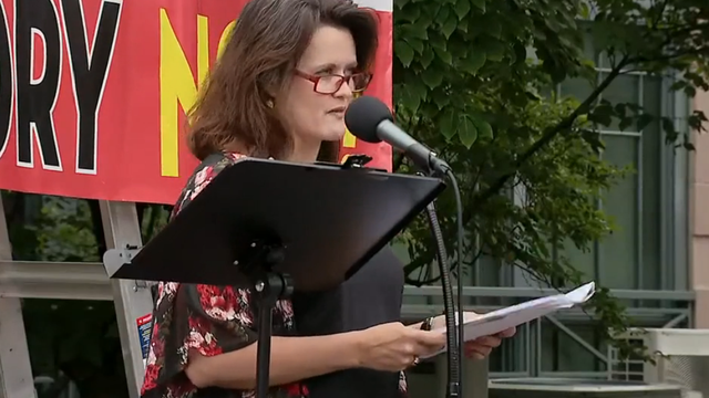 Loudoun County anti-critical race theory rally: Teacher says 'our student body suffers'