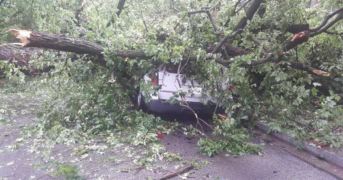 Severe storms slam DC, Montgomery County bringing trees down | FOX 5 DC