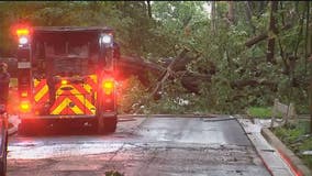 Homes evacuated after downed tree, power lines spark fire in Takoma Park following night of storms