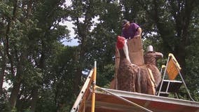 Montgomery County sculptor transforming tree into birds