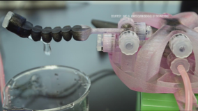 University of Maryland engineers create new 3-D soft robotic hand