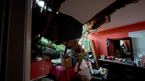 Springfield home crushed by massive tree amid severe weather
