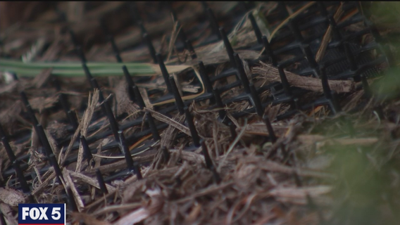 Arlington homeowner faces backlash for using 'spike mats' to keep pets out of yard