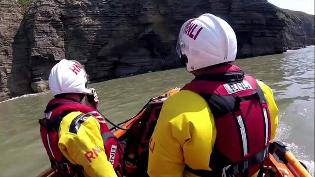 Lost dog rescued after being stranded at sea for 3 hours