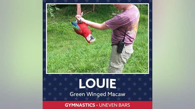 Maryland Zoo animals participate in 'Olympic-inspired' events