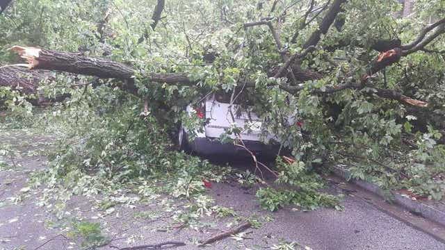 Severe storms slam DC, Montgomery County bringing trees down