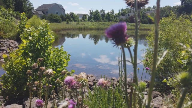 FOX 5 Zip Trip Gainesville: 5 Must Stops!