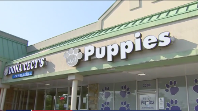 Maryland law bans sale of dogs, cats at pet stores