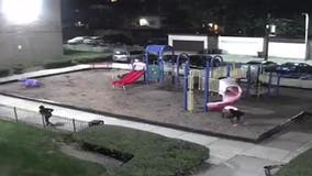 Surveillance video captures suspects discharging guns at DC playground