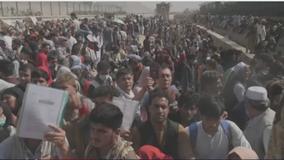 'Digital Dunkirk': Group of veterans offer to help with Afghanistan evacuation efforts