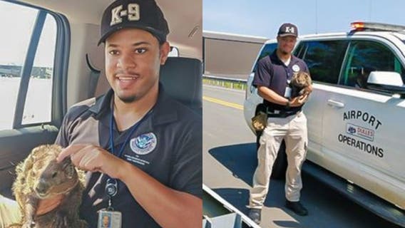 TSA canine handler rescues groundhog on airport runway at Dulles