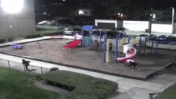 Surveillance video captures suspects discharging guns at DC playground