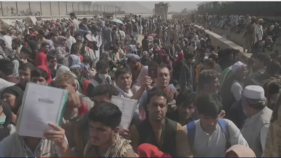 'Digital Dunkirk': Group of veterans offer to help with Afghanistan evacuation efforts