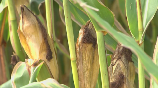 $50,000 reward offered for information on vandalized farm equipment in Montgomery County