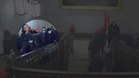 New video shows Capitol riot suspects accused of attacking a female media member