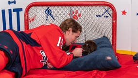 Washington Capitals celebrate "Caps Canines Night" with dogs named in honor of Bob Saget