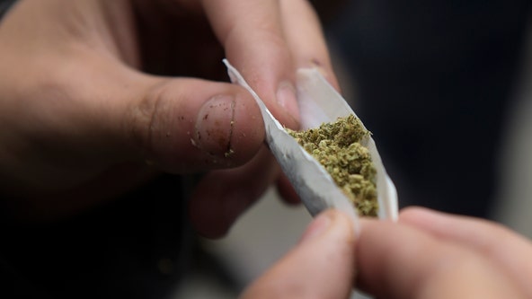 Maryland voters to decide whether to legalize marijuana