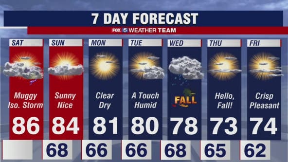 Sunny, muggy day in the DC area, with highs in the mid 80s