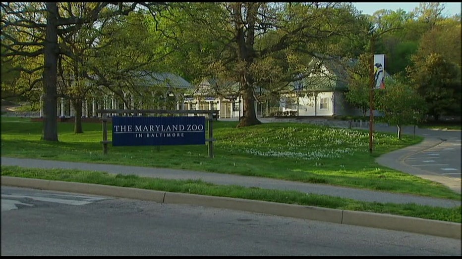 Maryland Zoo in Baltimore